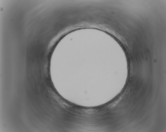 X0000088371502200706191230