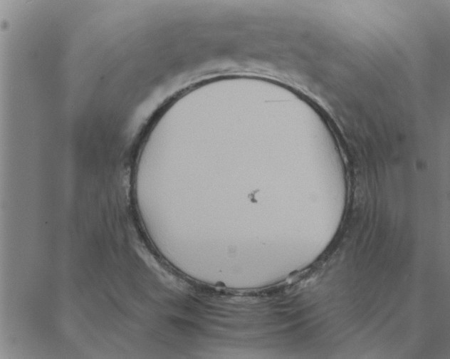 X0000088371503200706191230