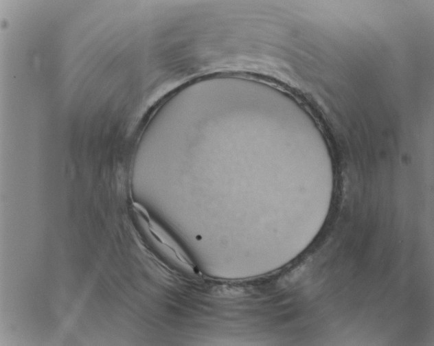 X0000088371505200706191230