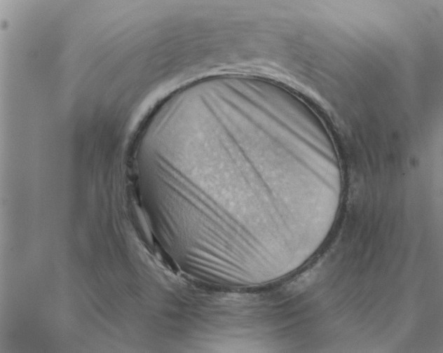 X0000088371506200706191230