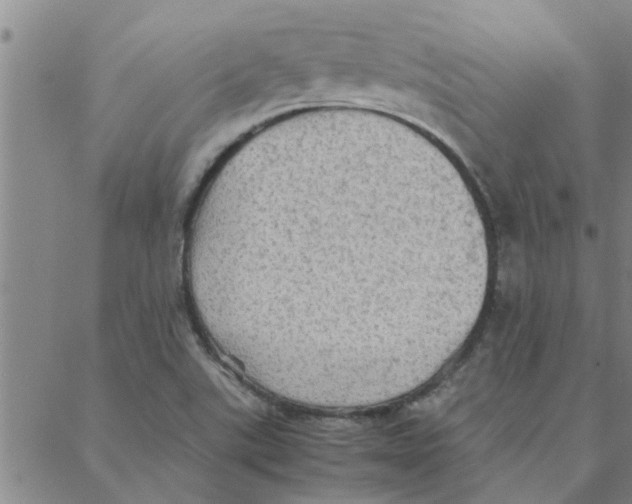 X0000088371507200706191230