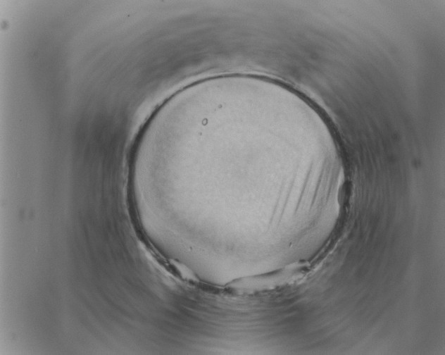 X0000088371508200706191230