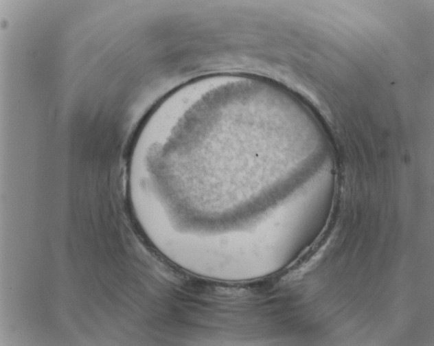 X0000088371509200706191230