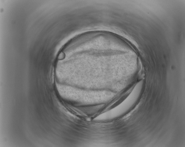 X0000088371510200706191230