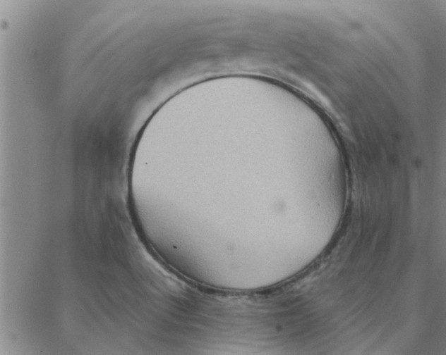 X0000088371512200706191230