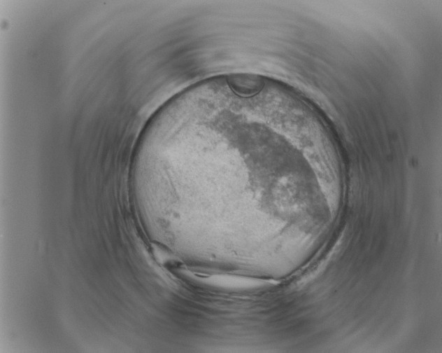 X0000088371513200706191230