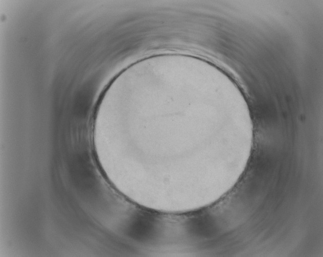 X0000088371514200706191230