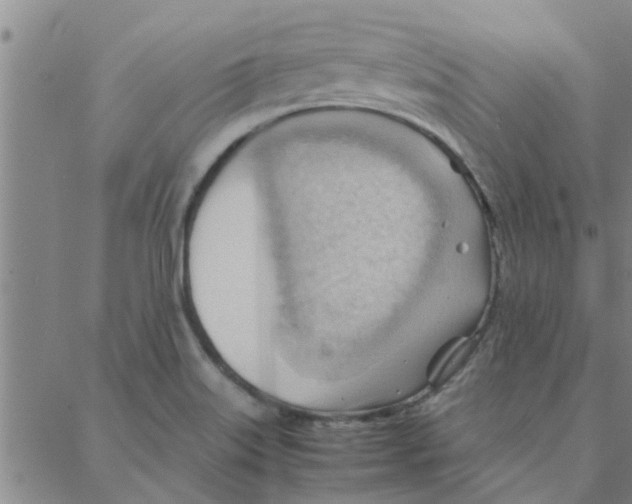 X0000088371515200706191230