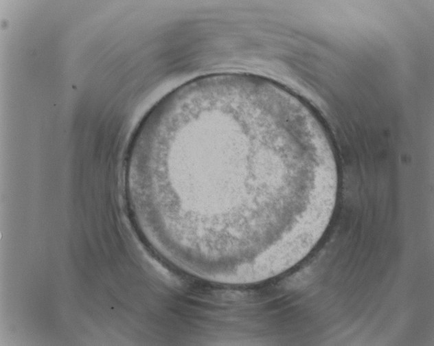 X0000088371517200706191230