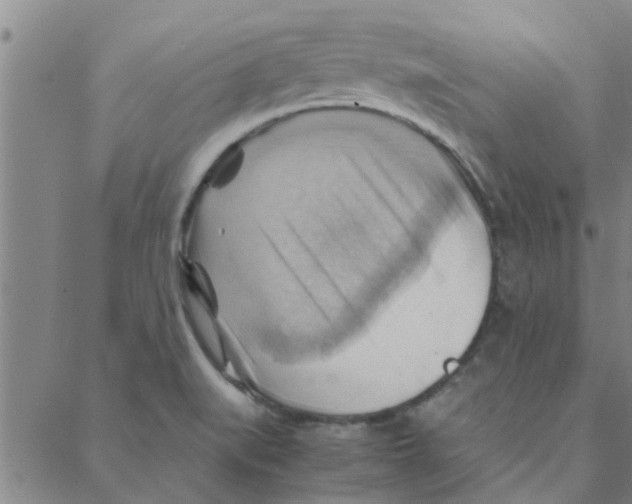 X0000088371519200706191230