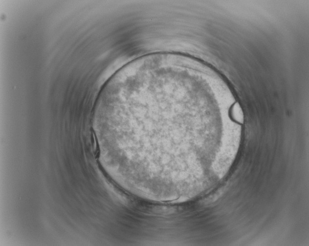 X0000088371521200706191230