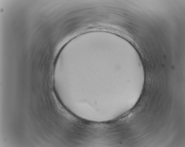 X0000088371522200706191230