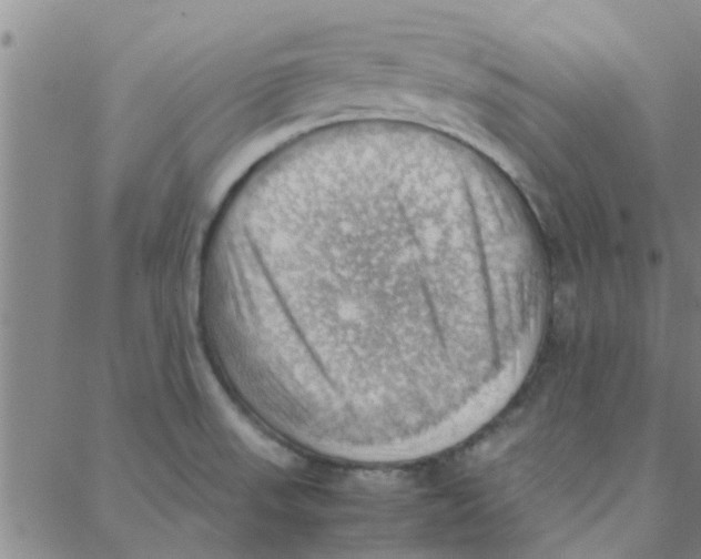 X0000088371523200706191230