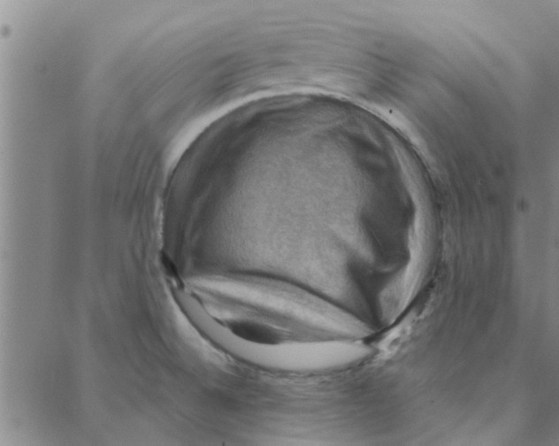 X0000088371524200706191230