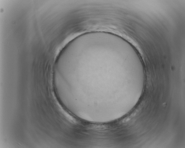 X0000088371525200706191230