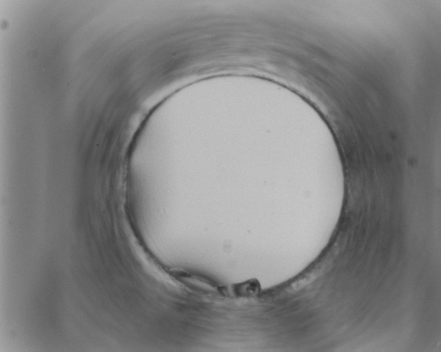 X0000088371526200706191230