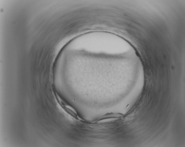 X0000088371527200706191230