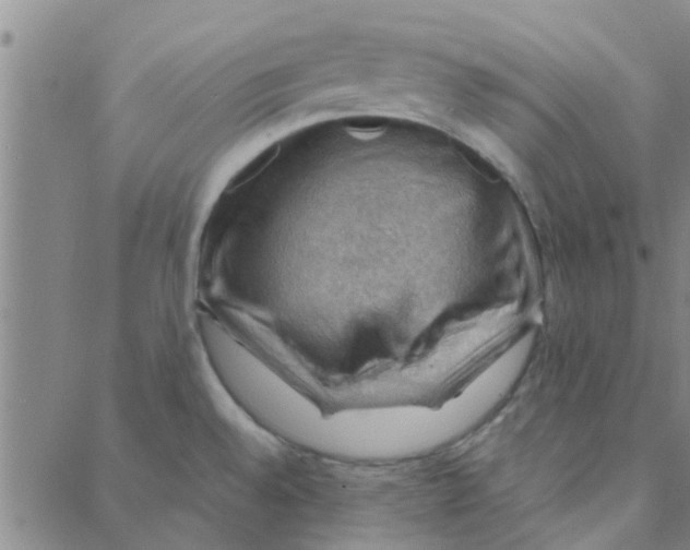 X0000088371528200706191230