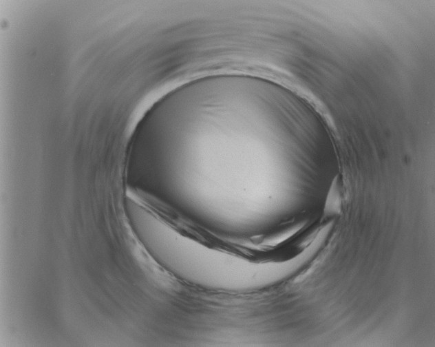 X0000088371530200706191230