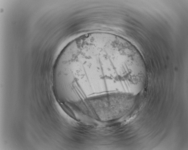 X0000088371531200706191230