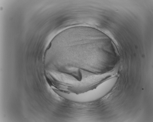 X0000088371532200706191230