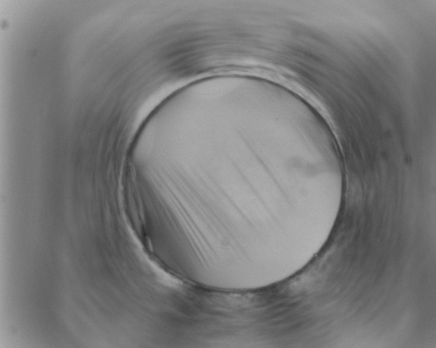 X0000088371533200706191230