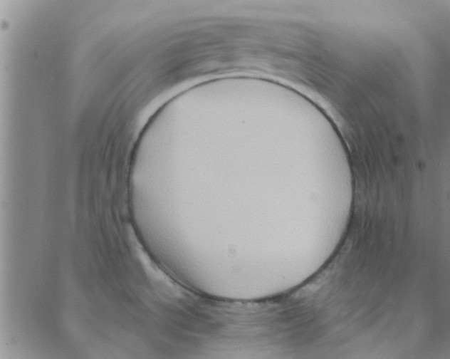 X0000088371534200706191230