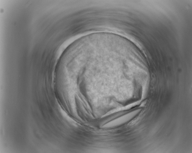 X0000088371535200706191230