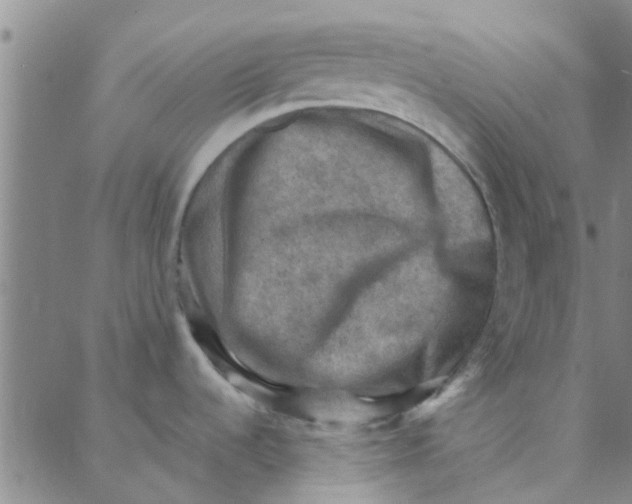 X0000088371536200706191230