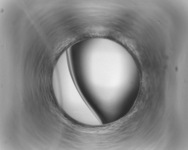 X0000088380017200705220753