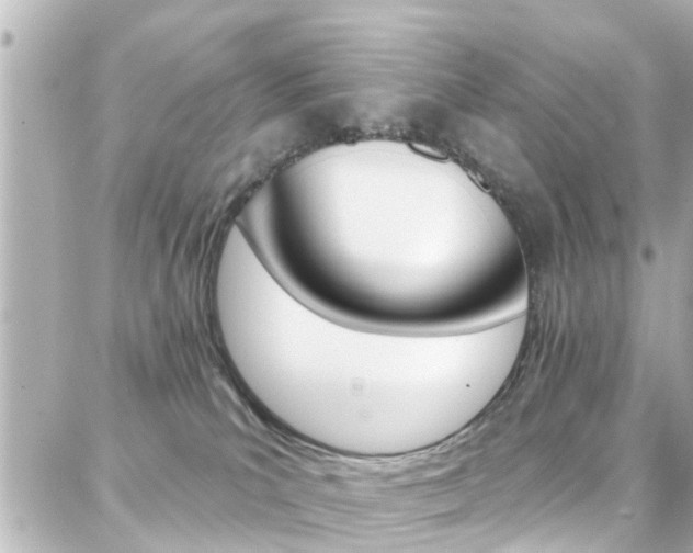 X0000088380039200705220753