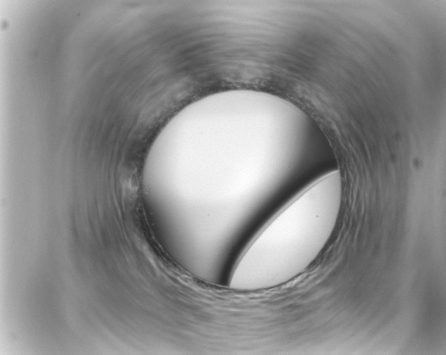 X0000088380040200705220753