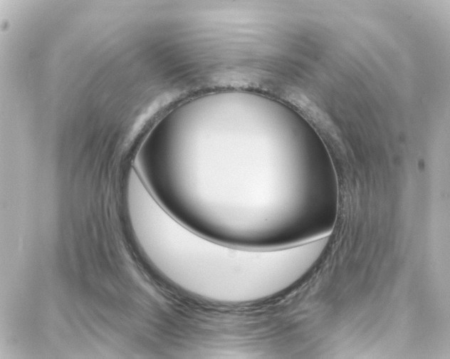X0000088380064200705220752