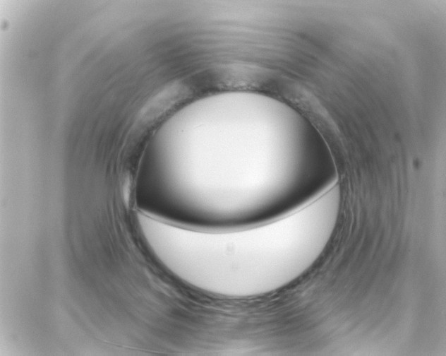 X0000088380076200705220753