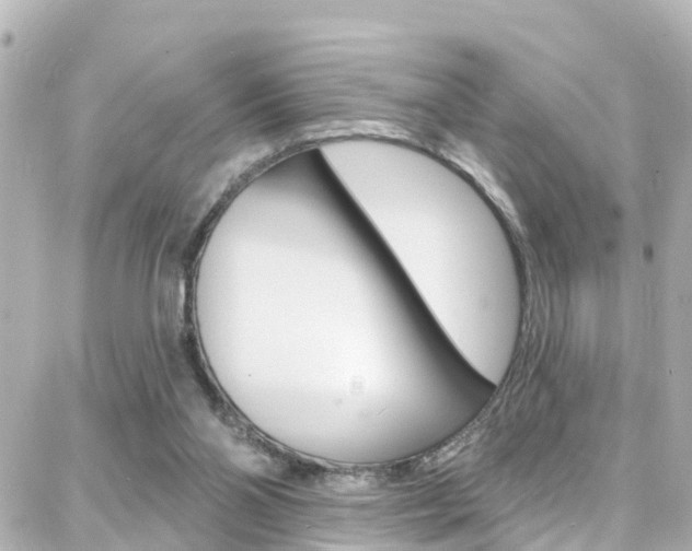 X0000088380110200705220752