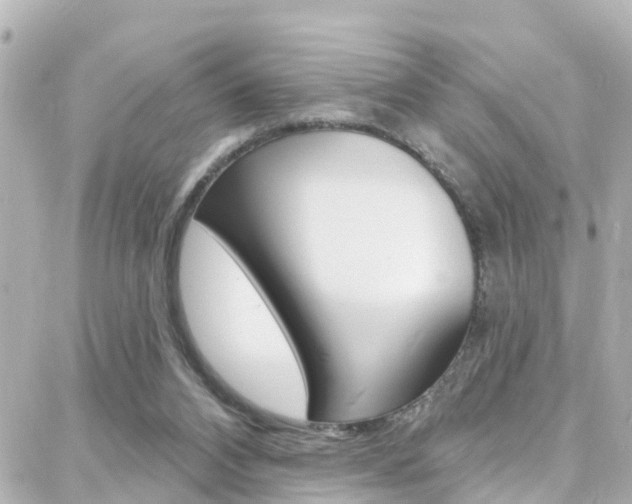 X0000088380112200705220752