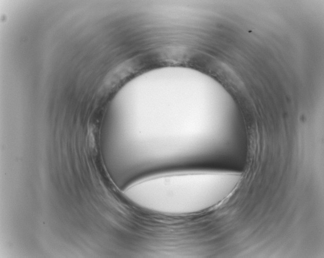 X0000088380128200705220752
