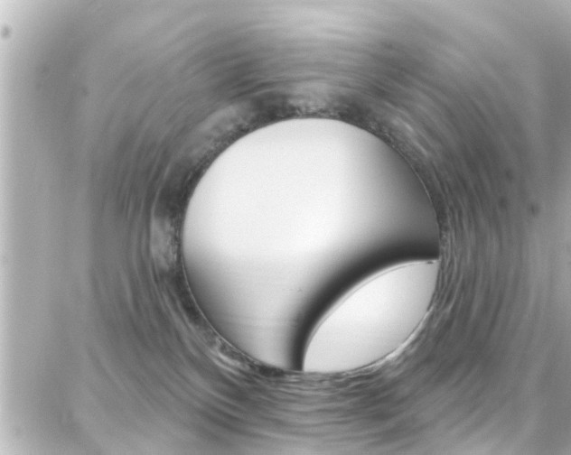 X0000088380136200705220751