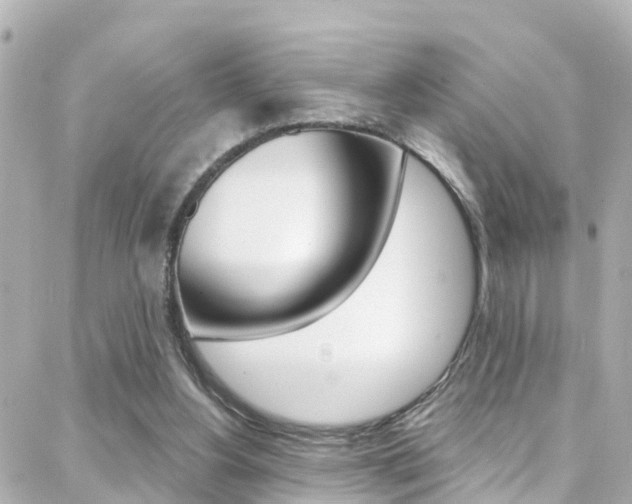 X0000088380156200705220751