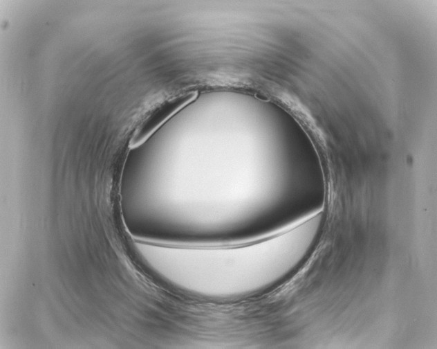 X0000088380201200705220750