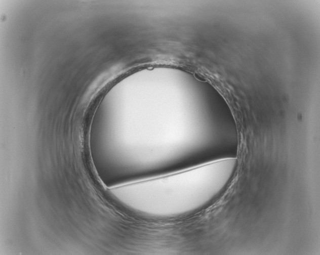 X0000088380247200705220749
