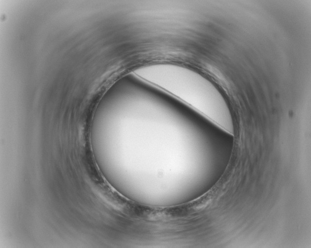 X0000088380258200705220749
