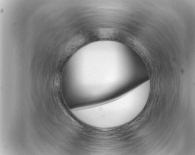 X0000088380277200705220750