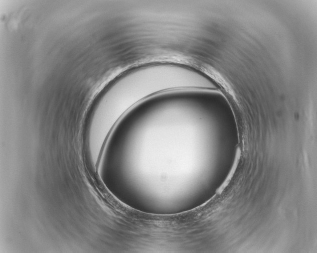 X0000088380436200705220746