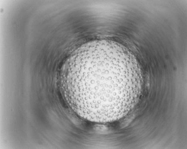 X0000088380519200705220745