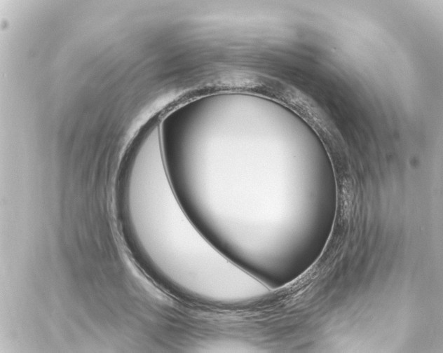 X0000088380726200705220741