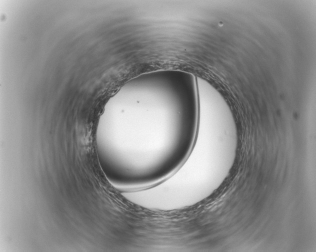 X0000088380818200705220740