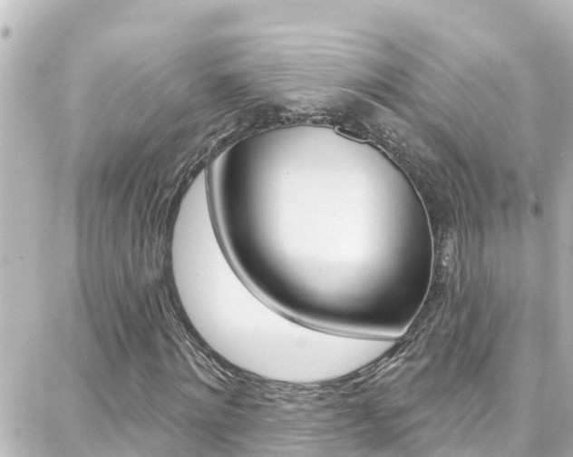 X0000088380868200705220740