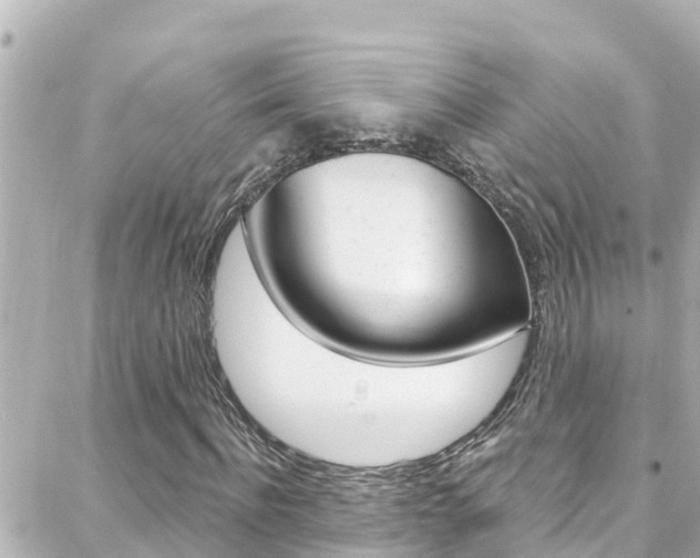 X0000088380916200705220738