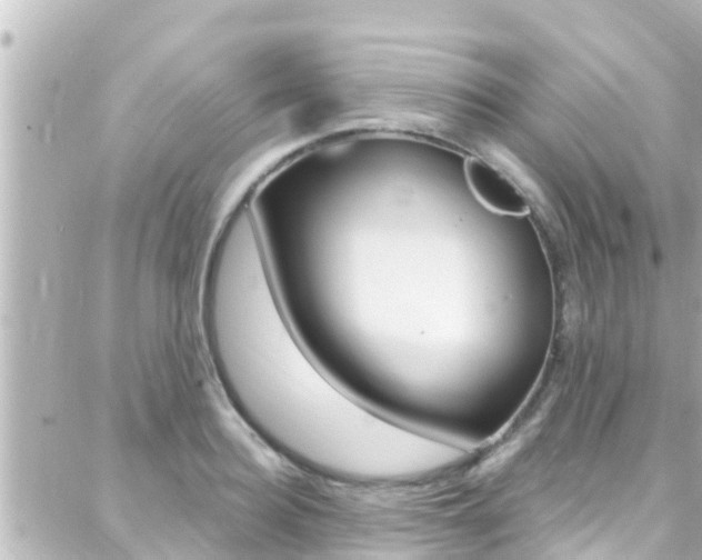 X0000088380940200705220738